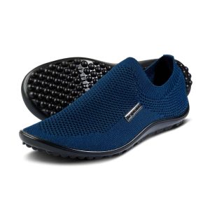 Scio blauw